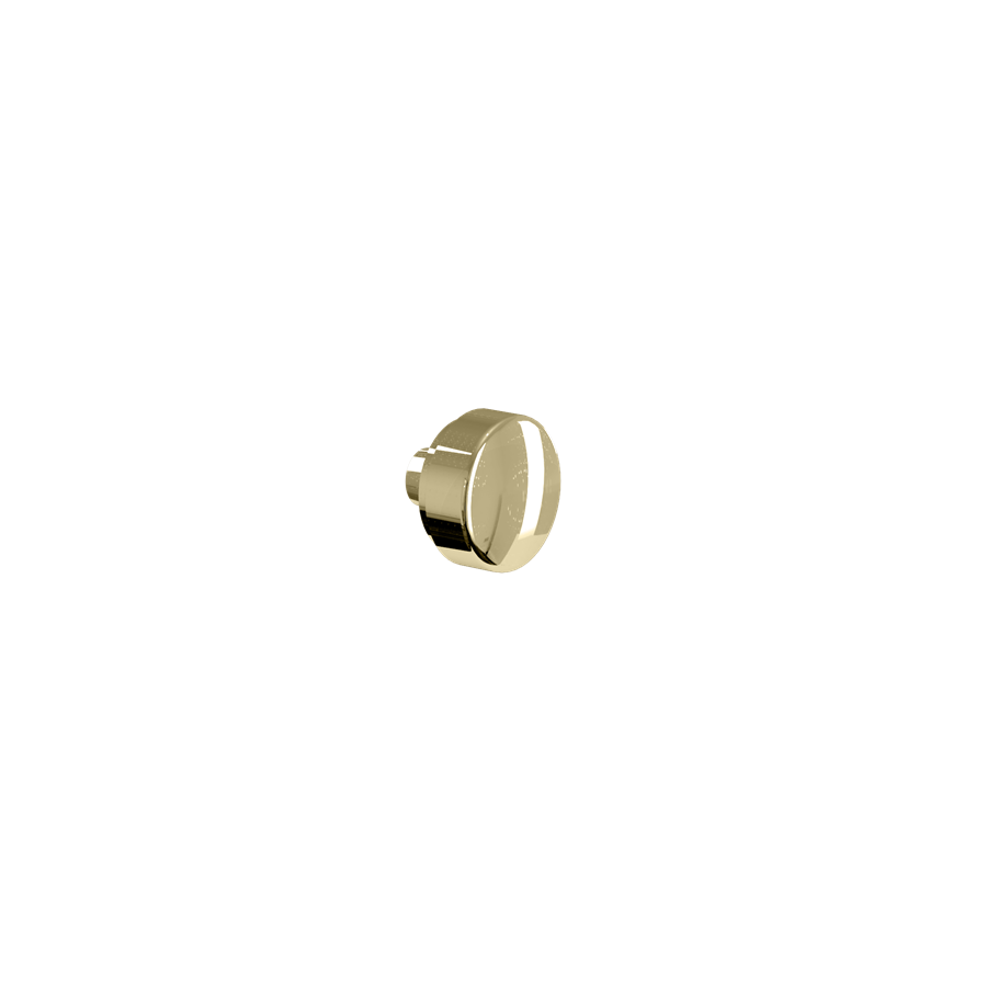 WC Pan Fixing Screws and Covers (Gold) | SKU SP387 | Burlington Bathrooms